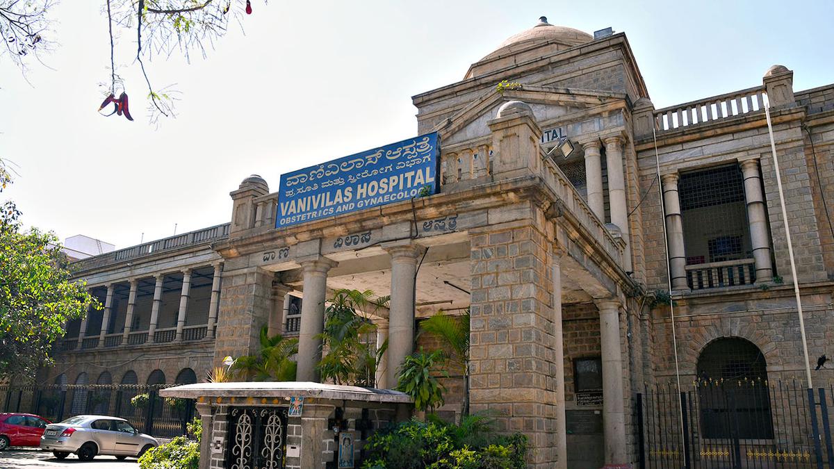 Vani Vilas Hospital